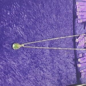 Silver Pendant necklace NWOT